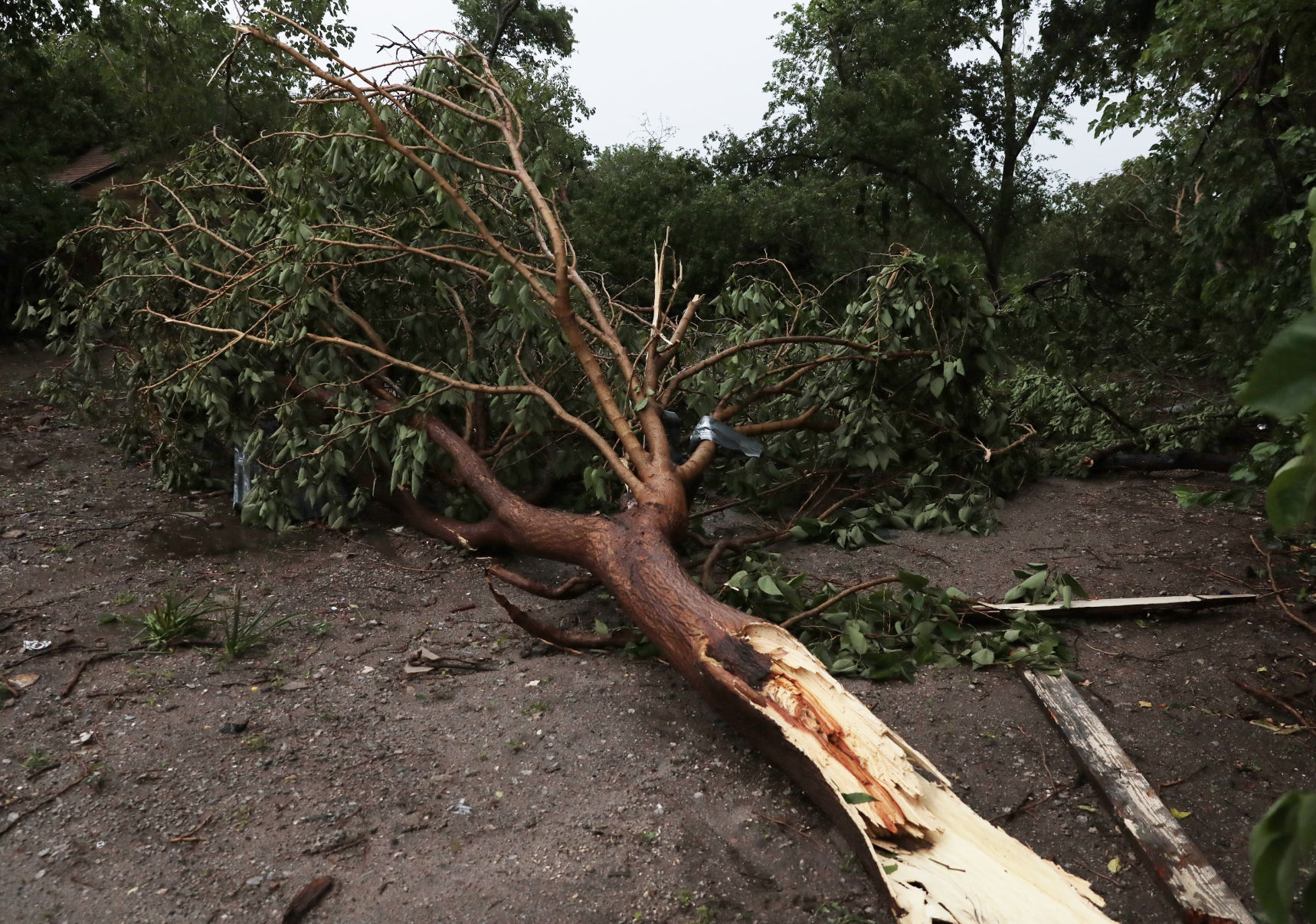 Storm Damage